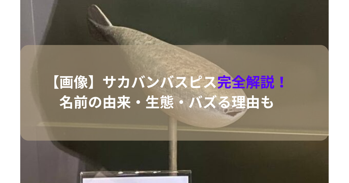 【画像】サカバンバスピス完全解説！名前の由来・生態・バズる理由も